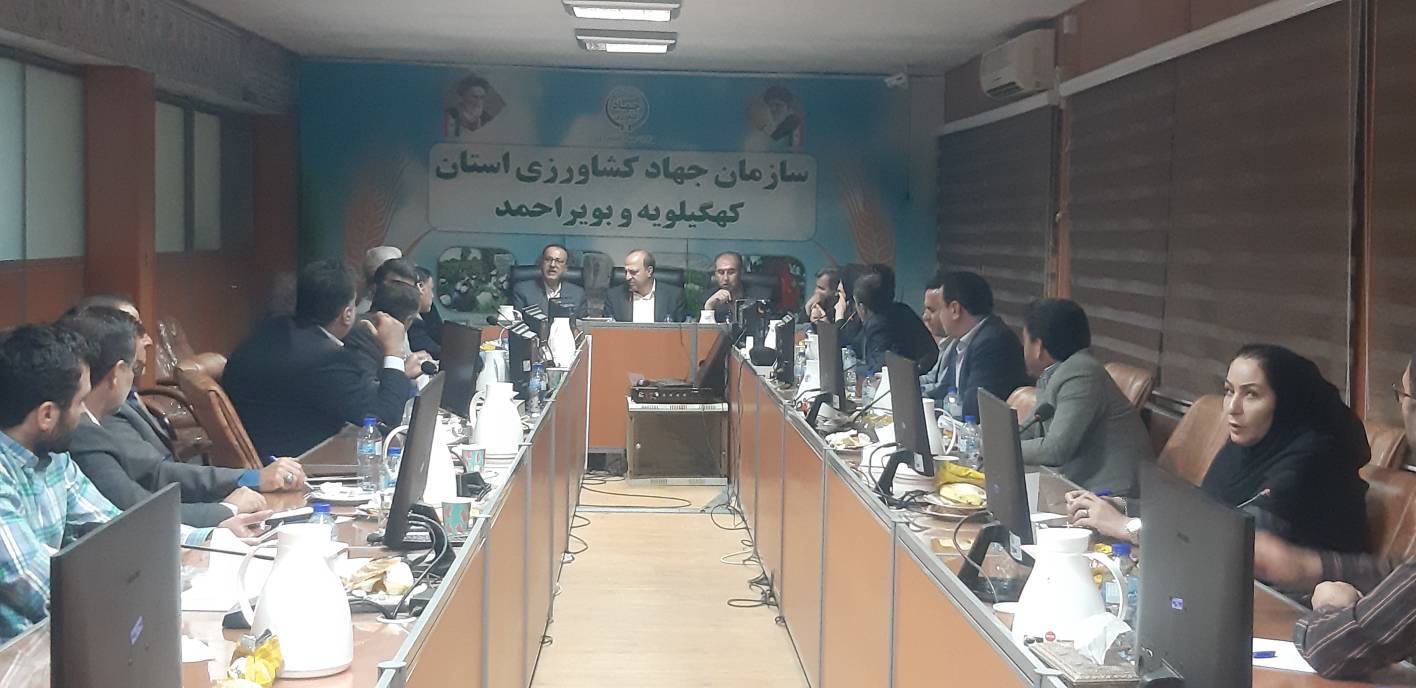 هشدار رئیس سازمان جهاد کشاورزی در خصوص شایعات در بازار