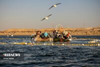 وزش باد نسبتا شدید و ارتفاع امواج بیش از یک متر