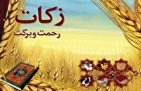 پرداخت 98 میلیارد تومان زکات، امسال در مازندران