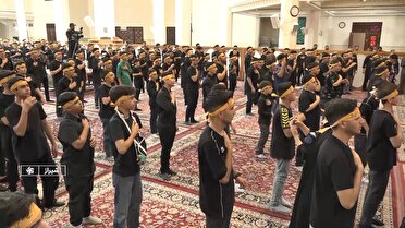 اجتماع «احلی من العسل» در حرم مطهر شاهچراغ (ع)