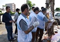 نظارت 25 تیم دامپزشکی بر ذبح دام نذری در اردبیل