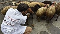 فعالیت 33 تیم دامپزشکی ، تاسوعا و عاشورا در لرستان