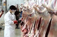 نظارت ۷۵ گروه دامپزشکی بر ذبح دام شرعی در تاسوعا و عاشورا