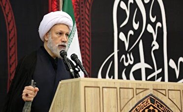 تاکید امام جمعه شیراز بر ادامه تلاش برای پیشرفت کشور