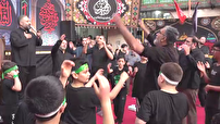 نوبت عاشقی در بین مردمانی سبزاندیش و مهربان