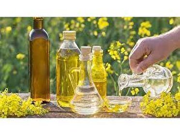 خرید 23 هزار تن کلزا از کشاورزان مازندران