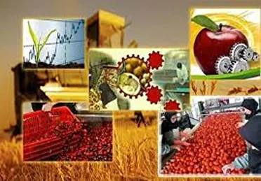 فرآوری 90 هزار تن محصولات خراسان جنوبی از ابتدای سال