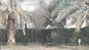 رطوبت و شرجی در راه آبادان و خرمشهر