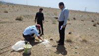 بردسکن پیشگام در واگذاری زمین برای نیروگاه خورشیدی