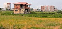 شناسایی 4 مورد تغییر کاربری غیر مجاز در حمیدیه