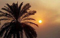 روند افزایش دما در جنوب غرب خوزستان