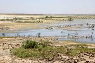 احیای کفه 105 هزار هکتاری تالاب جازموریان در دستور کار