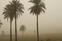 آبادان در وضع قرمز و خرمشهر در وضع نارنجی آلودگی هوا