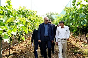 پیگیری توسعه طرح‌های کشاورزی و باغات هوشمند در استان کرمانشاه