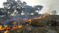 آتش‌سوزی 12 ساعته در منطقه کوه چنار مهارلو