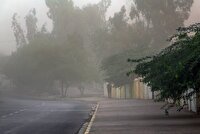 پیش بینی بارش پراکنده در جنوب و غرب استان