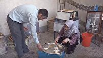 کار آفرینی بانوی توانمند بروجردی با زنبورداری