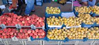 از خروج غیر قانونی کالا جلوگیری شود/ تامین کالا‌های اساسی در اولویت باشد