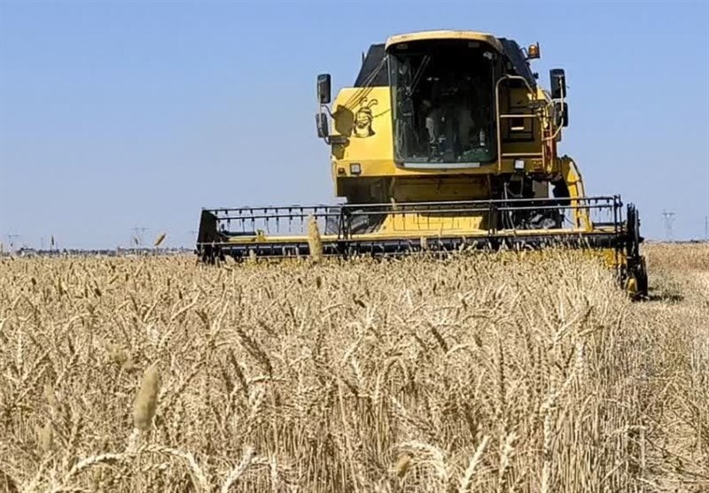 مابقی مطالبات گندمکاران خوزستانی هرچه سریع‌تر پرداخت شود