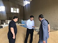 فعالیت 10 مرکز خرید تضمینی گندم مازاد بر مصرف در ارومیه