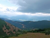 بارش تابستانی بر بوم سبز شمالی