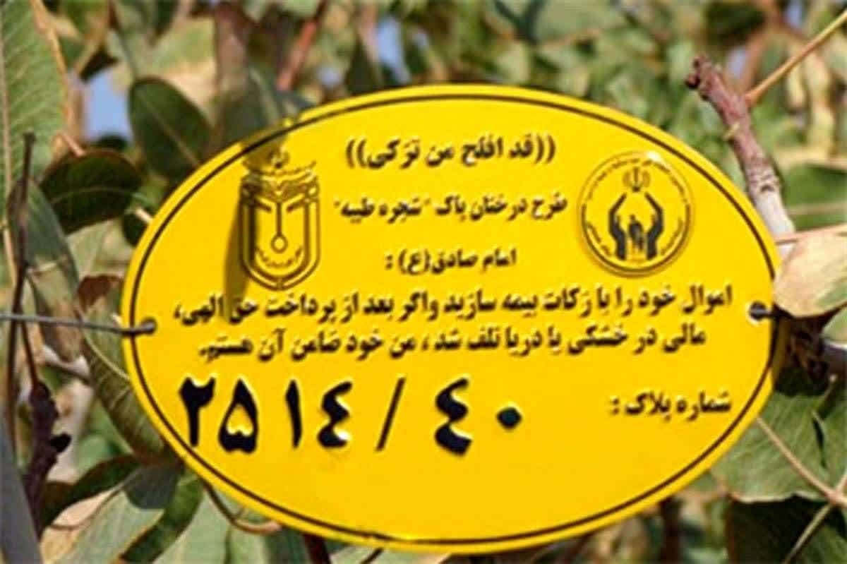 پلاک گذاری ۲۵۰ اصله درخت در طرح شجره طیبه