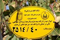 پلاک گذاری 250 اصله درخت در طرح شجره طیبه