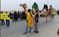 اسارات در اوج  عزت