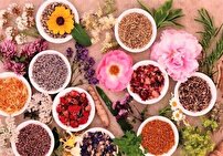 گیاهان دارویی؛ توسعه پایدار در دستان طبیعت