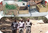 دستگیری صیادان غیر مجاز پرندگان زینتی در خرم آباد