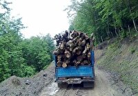 کشف بیش از 97 تُن چوب و زغال قاچاق در استان