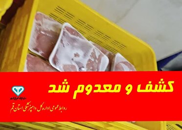 معدوم‌سازی 5 تُن فرآورده‌های دامی غیر مجاز در قم