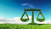 حکم سبز قاضی برای متخلف زیست محیطی در لرستان