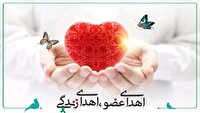 بانوی مرگ مغزی مشهدی جان 4 بیمار را نجات داد