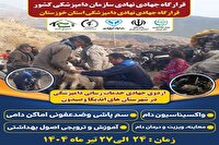 برگزاری اردوی جهادی-نهادی دامپزشکی در اندیکا و صیدون