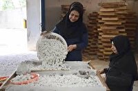 ایجاد 592 فرصت شغلی با راه اندازی تعاونی‌های جدید در خراسان جنوبی