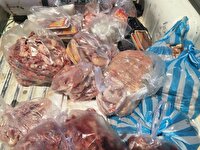 معدوم‌سازی 240 کیلوگرم مرغ و گوشت غیرقابل مصرف در شادگان