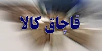 کشف 30 دستگاه لوازم خانگی قاچاق در شهرستان خفر