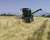 آغاز برداشت مکانیزه گندم و جو از مزارع دهستان ارنان