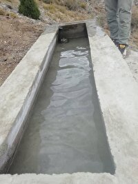 ساخت دو آبشخور در منطقه حفاظت شده جغتای