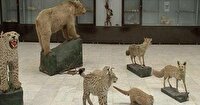 قرارداد 420 میلیارد ریالی برای تکمیل مرکز دیرینه‌شناسی مراغه