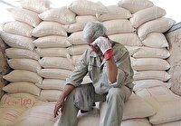 تصویب افزایش نرخ حمل آرد در خراسان رضوی