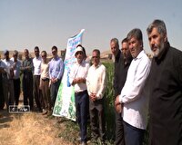 برگزاری کارگاه آموزشی ترویج کشت محصولات کم آب در مهاباد