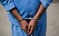 دستگیری سارق کندو‌های زنبور عسل در پاسارگاد
