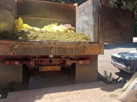 توقیف 900 کیلوگرم پسته جنگلی قاچاق در صالح‌آباد