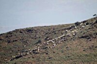 بررسی میدانی وضعیت محیط زیست شهرستان خوی