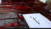 کشف ۵۰ کیلوگرم حشیش در داراب