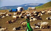 76 میلیارد ریال اعتبار بحران به آبرسانی عشایر تخصیص یافت