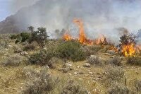 نابودی بیش از 14 هکتار از مراتع شهرستان قوچان بر اثر سه آتش سوزی