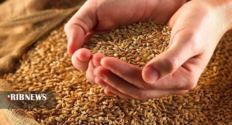 جریمه برای گرانفروش خوراک دام در اسفراین